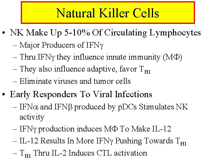 Natural Killer Cells • NK Make Up 5 -10% Of Circulating Lymphocytes – Major