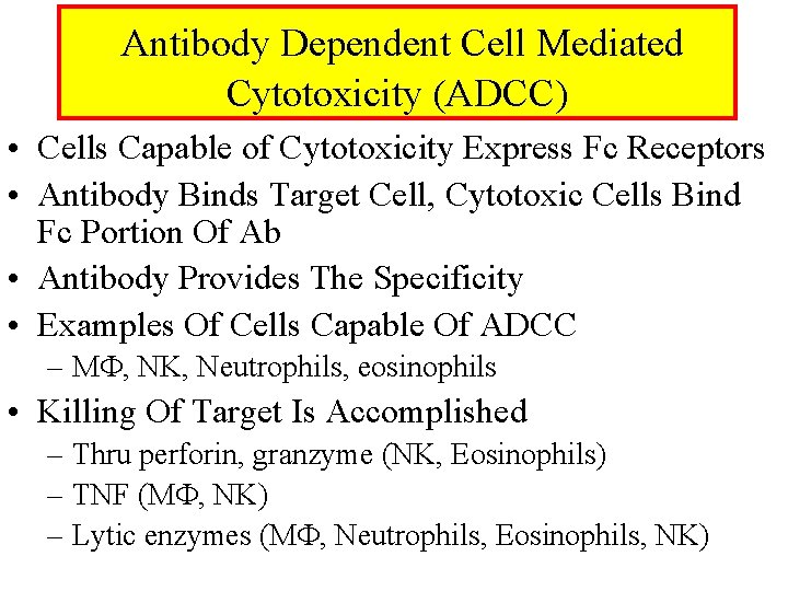 Antibody Dependent Cell Mediated Cytotoxicity (ADCC) • Cells Capable of Cytotoxicity Express Fc Receptors