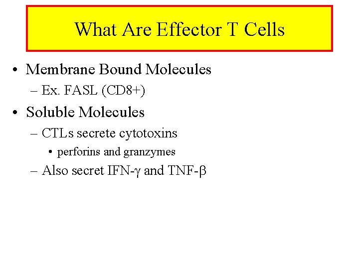 What Are Effector T Cells • Membrane Bound Molecules – Ex. FASL (CD 8+)