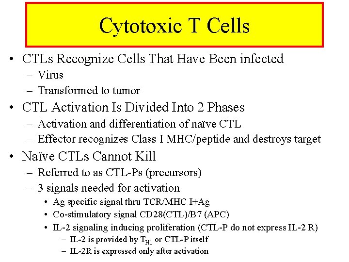 Cytotoxic T Cells • CTLs Recognize Cells That Have Been infected – Virus –