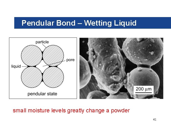 Pendular Bond – Wetting Liquid small moisture levels greatly change a powder 41 