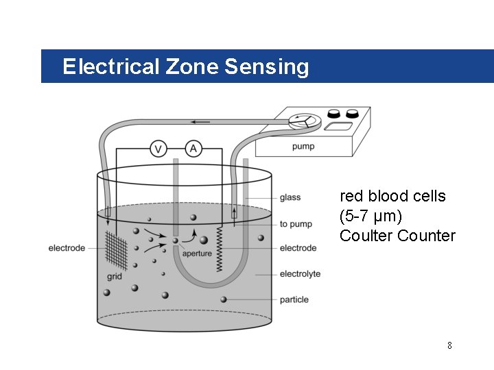Electrical Zone Sensing red blood cells (5 -7 µm) Coulter Counter 8 