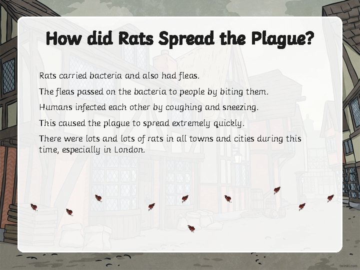 How did Rats Spread the Plague? Rats carried bacteria and also had fleas. The