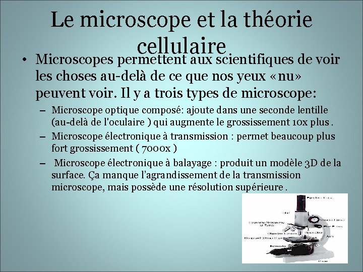  • Le microscope et la théorie cellulaire Microscopes permettent aux scientifiques de voir