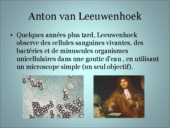 Anton van Leeuwenhoek • Quelques années plus tard, Leeuwenhoek observe des cellules sanguines vivantes,