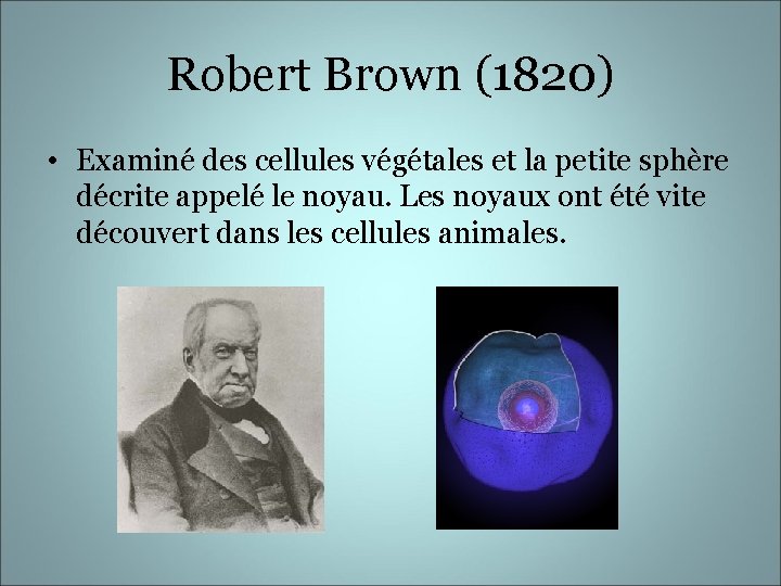 Robert Brown (1820) • Examiné des cellules végétales et la petite sphère décrite appelé