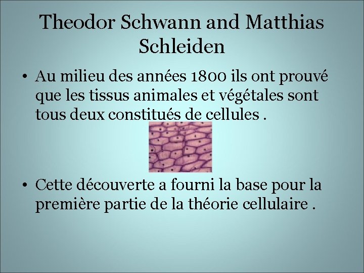 Theodor Schwann and Matthias Schleiden • Au milieu des années 1800 ils ont prouvé