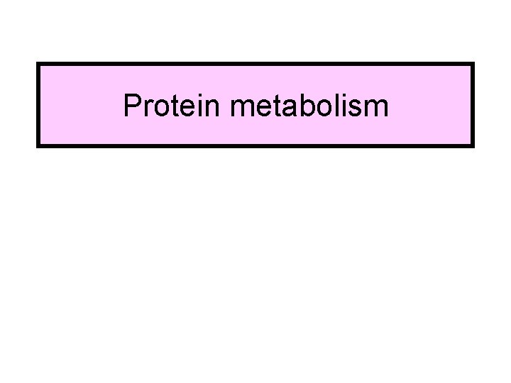 Protein metabolism 