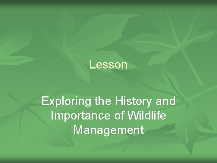 Lesson Exploring the History and Importance of Wildlife Management 