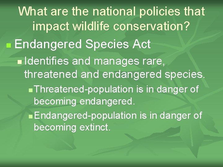 What are the national policies that impact wildlife conservation? n Endangered Species Act n