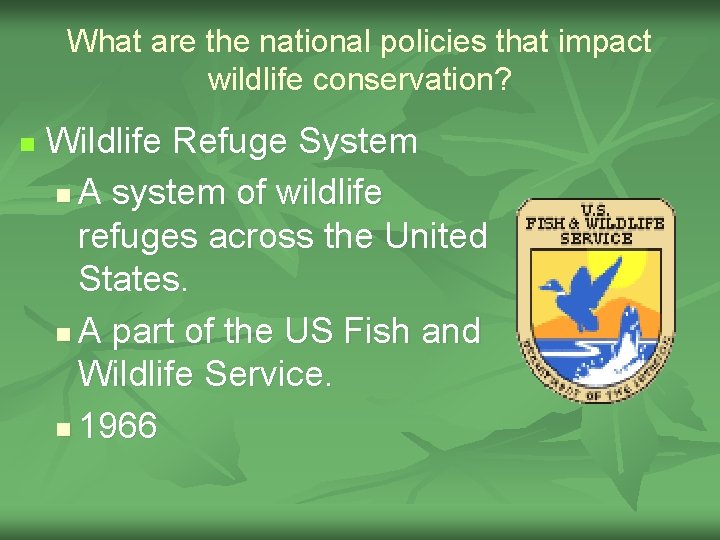What are the national policies that impact wildlife conservation? n Wildlife Refuge System n