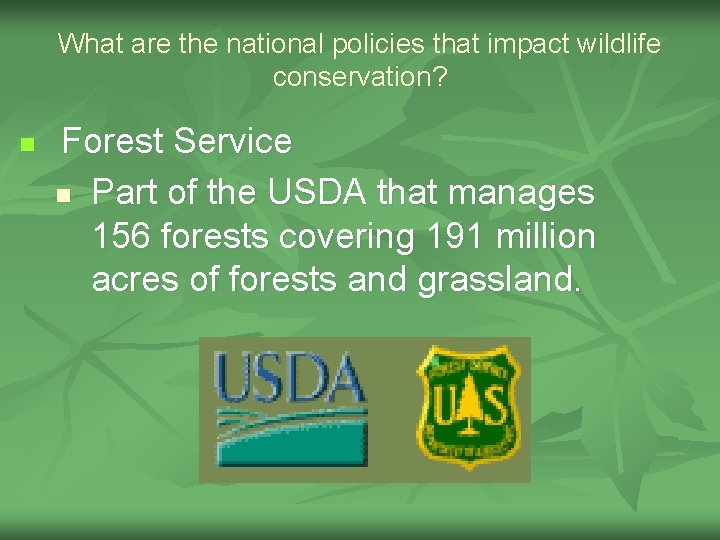 What are the national policies that impact wildlife conservation? n Forest Service n Part