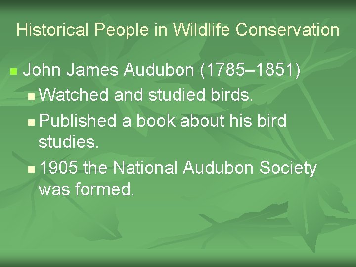 Historical People in Wildlife Conservation n John James Audubon (1785– 1851) n Watched and