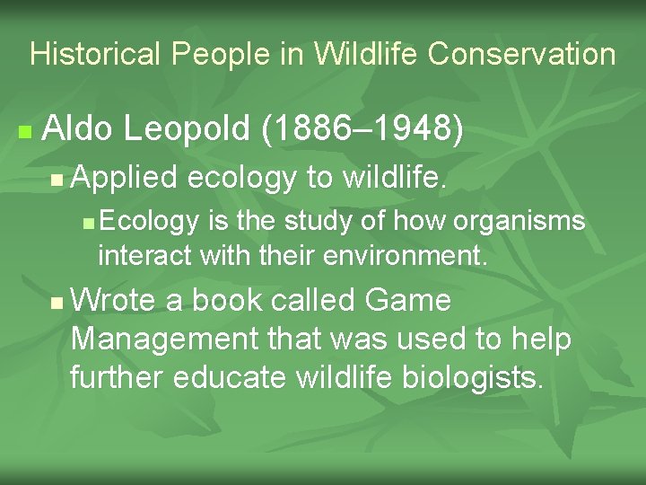 Historical People in Wildlife Conservation n Aldo Leopold (1886– 1948) n Applied ecology to