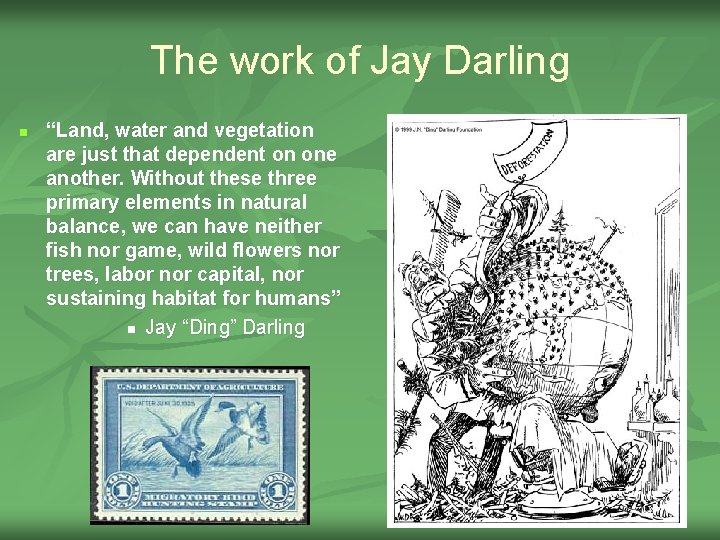 The work of Jay Darling n “Land, water and vegetation are just that dependent