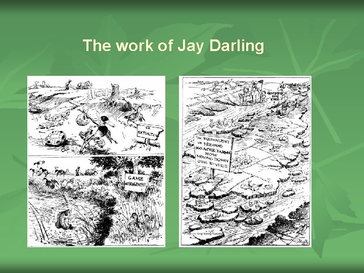 The work of Jay Darling 