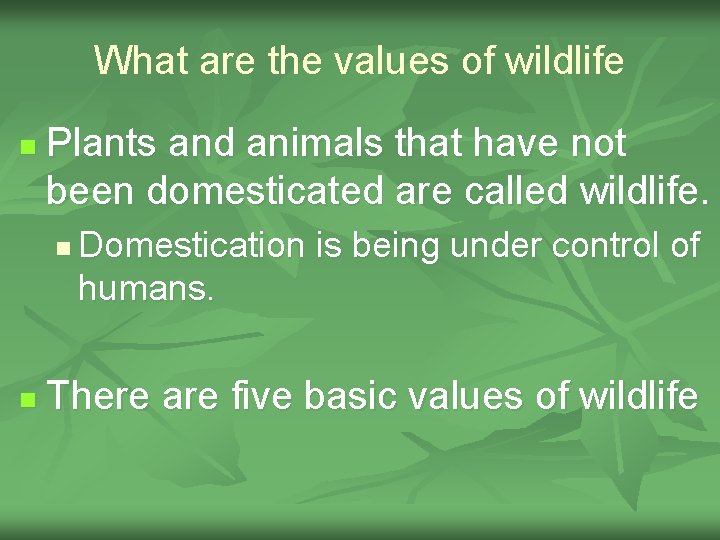 What are the values of wildlife n Plants and animals that have not been