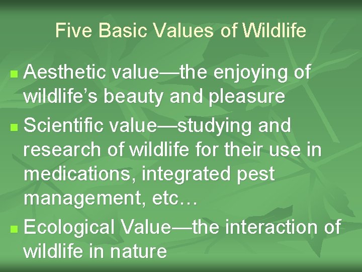 Five Basic Values of Wildlife Aesthetic value—the enjoying of wildlife’s beauty and pleasure n