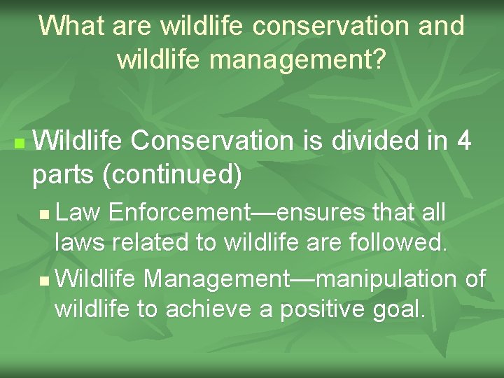 What are wildlife conservation and wildlife management? n Wildlife Conservation is divided in 4