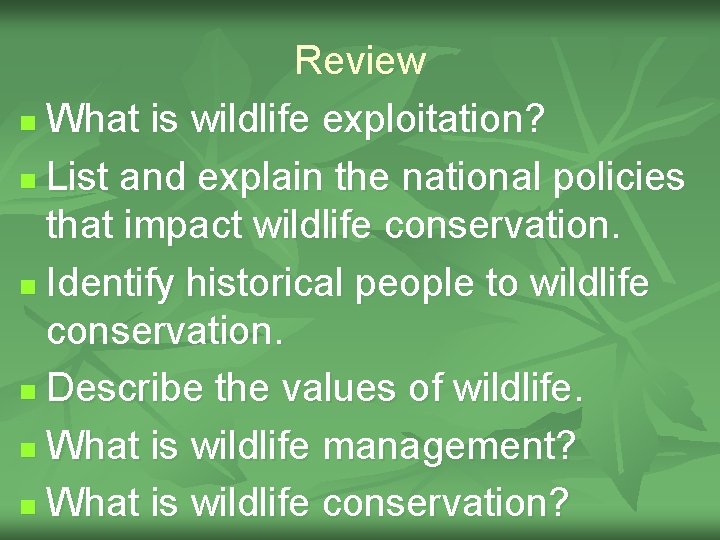 Review n What is wildlife exploitation? n List and explain the national policies that