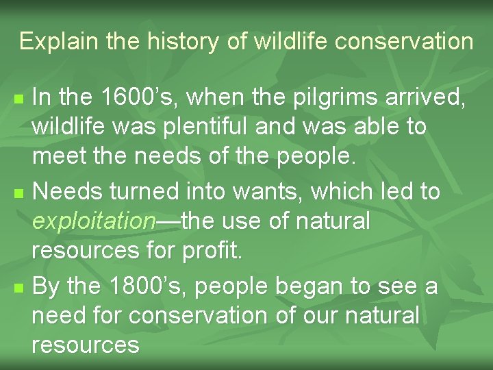 Explain the history of wildlife conservation In the 1600’s, when the pilgrims arrived, wildlife