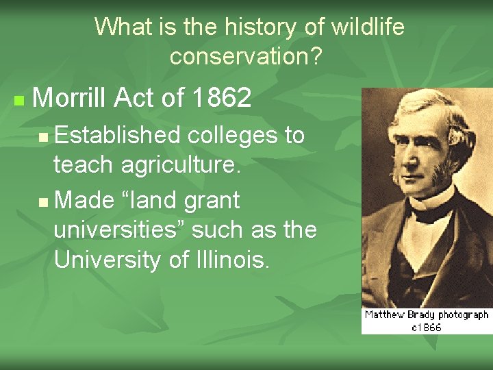 What is the history of wildlife conservation? n Morrill Act of 1862 Established colleges