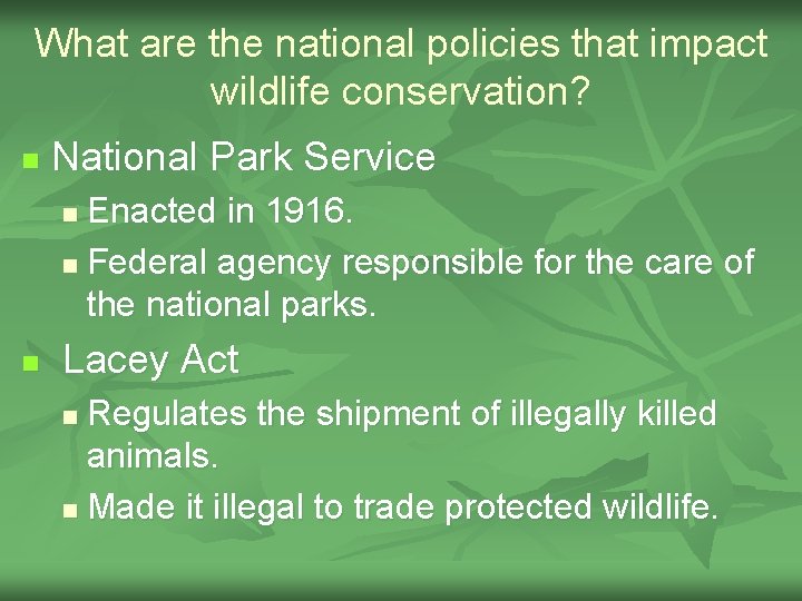 What are the national policies that impact wildlife conservation? n National Park Service Enacted