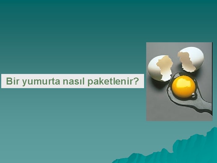 Bir yumurta nasıl paketlenir? 