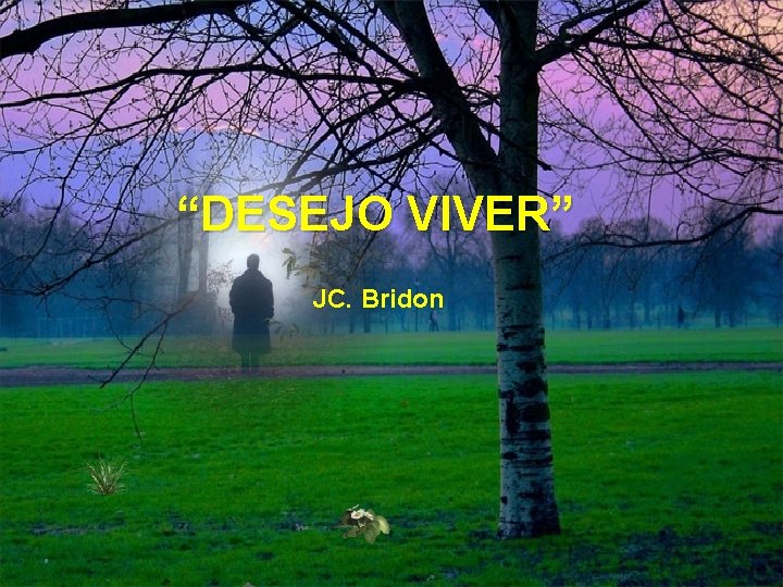 “DESEJO VIVER” JC. Bridon 