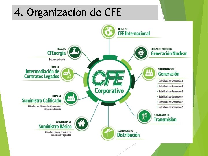 4. Organización de CFE 