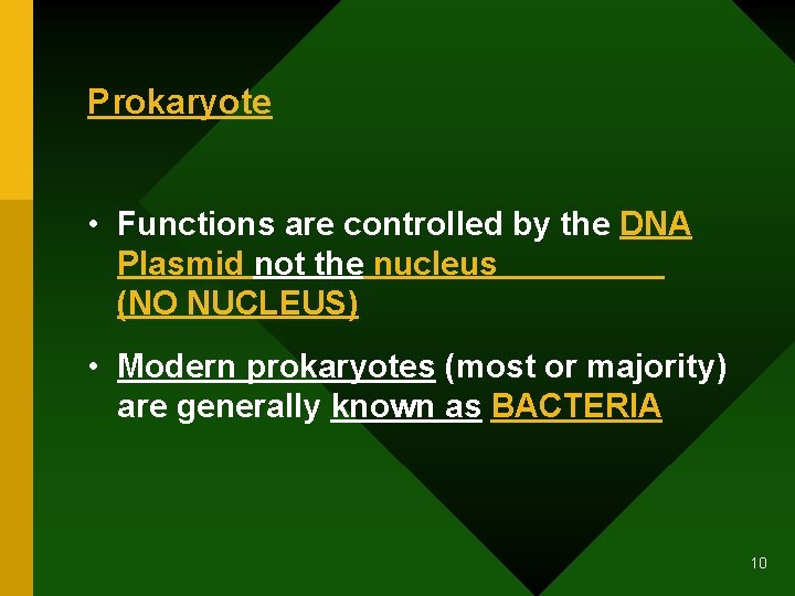 Prokaryote • Functions are controlled by the DNA Plasmid not the nucleus (NO NUCLEUS)