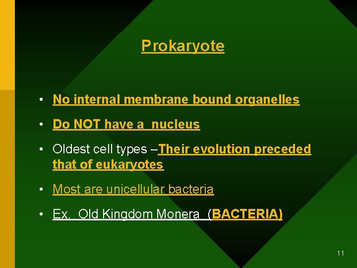Prokaryote • No internal membrane bound organelles • Do NOT have a nucleus •