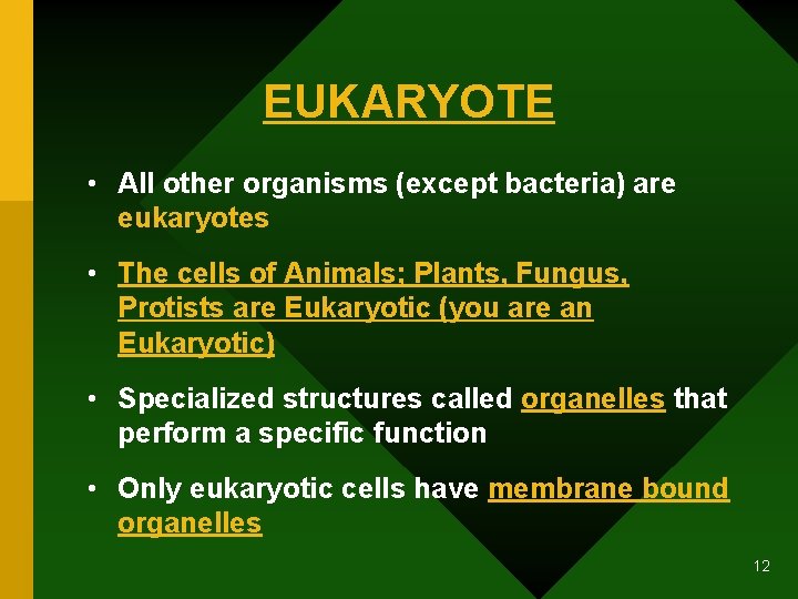 EUKARYOTE • All other organisms (except bacteria) are eukaryotes • The cells of Animals;