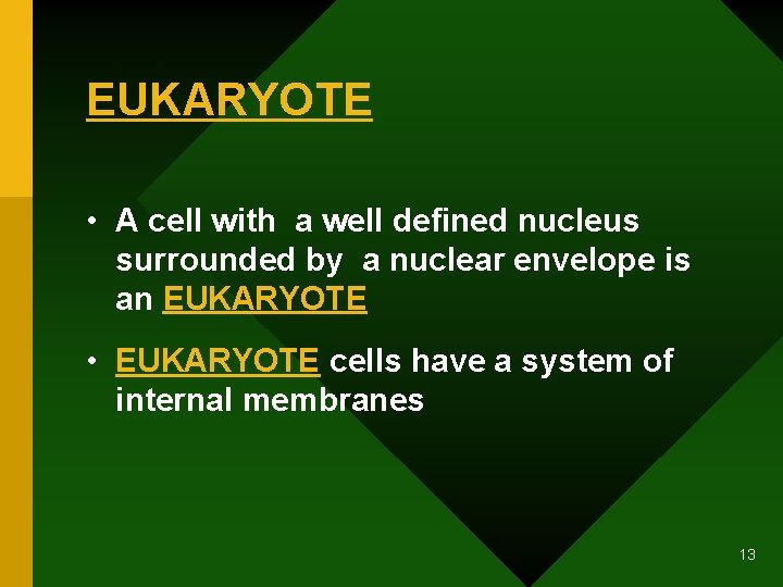 EUKARYOTE • A cell with a well defined nucleus surrounded by a nuclear envelope