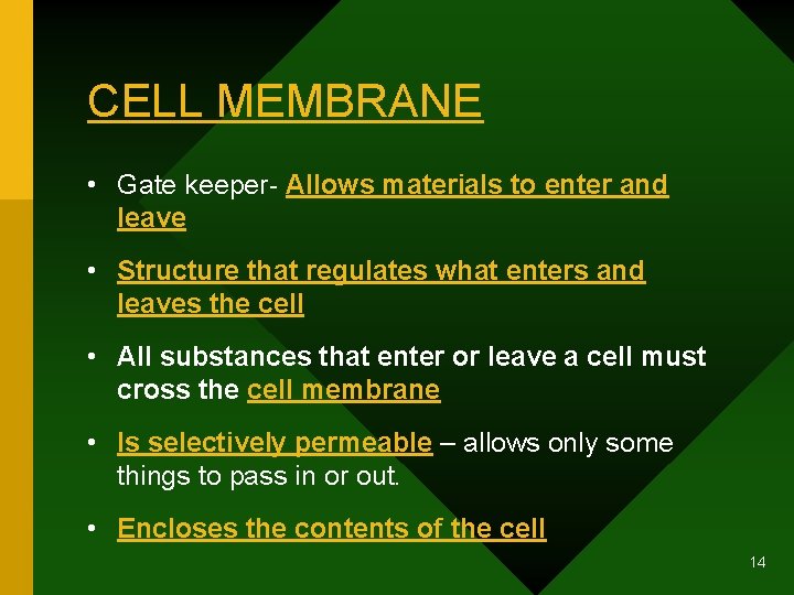 CELL MEMBRANE • Gate keeper- Allows materials to enter and leave • Structure that