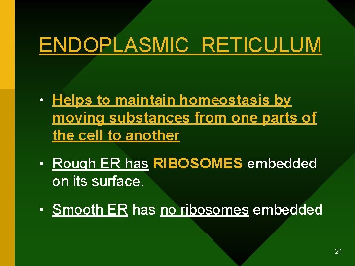 ENDOPLASMIC RETICULUM • Helps to maintain homeostasis by moving substances from one parts of