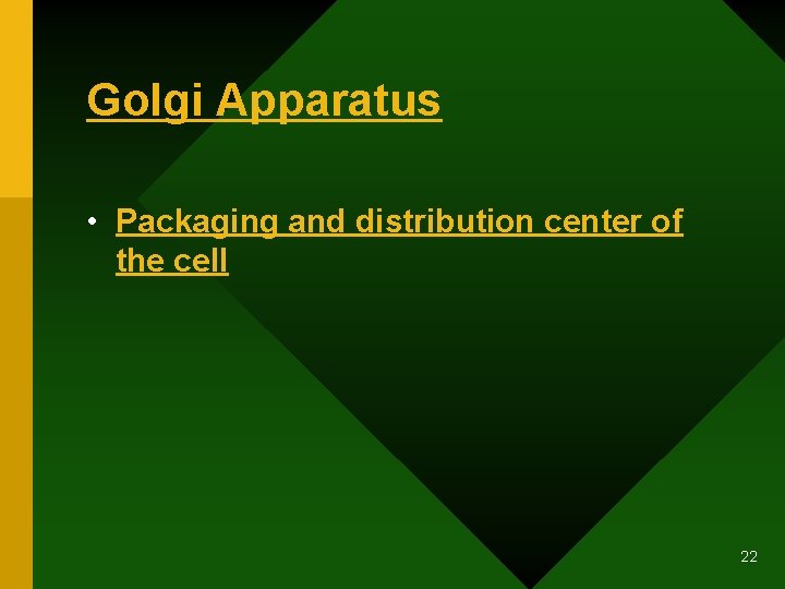 Golgi Apparatus • Packaging and distribution center of the cell 22 