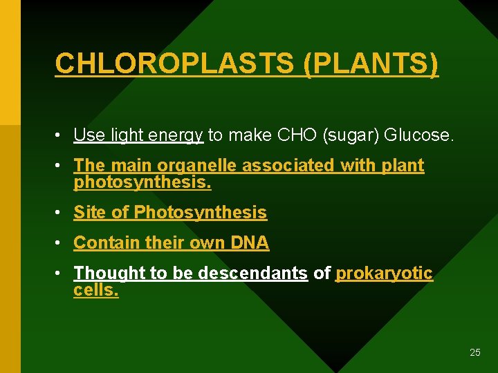 CHLOROPLASTS (PLANTS) • Use light energy to make CHO (sugar) Glucose. • The main