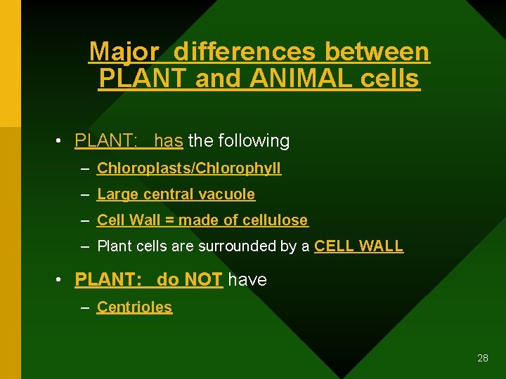 Major differences between PLANT and ANIMAL cells • PLANT: has the following – Chloroplasts/Chlorophyll