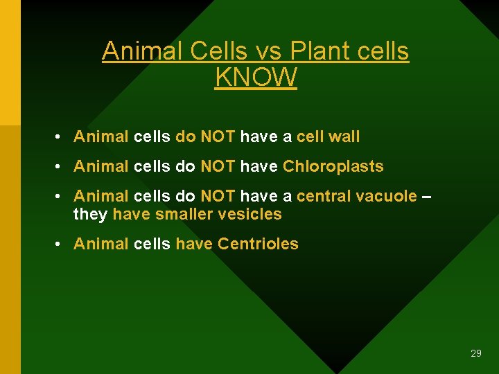 Animal Cells vs Plant cells KNOW • Animal cells do NOT have a cell