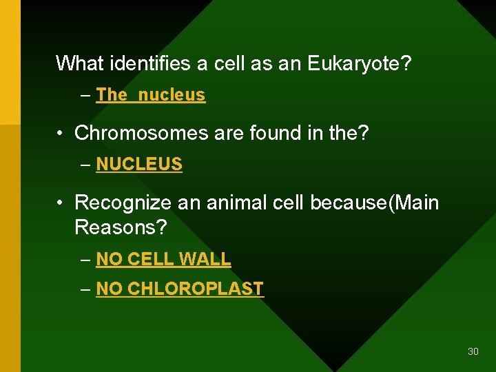 What identifies a cell as an Eukaryote? – The nucleus • Chromosomes are found