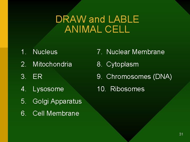 DRAW and LABLE ANIMAL CELL 1. Nucleus 7. Nuclear Membrane 2. Mitochondria 8. Cytoplasm