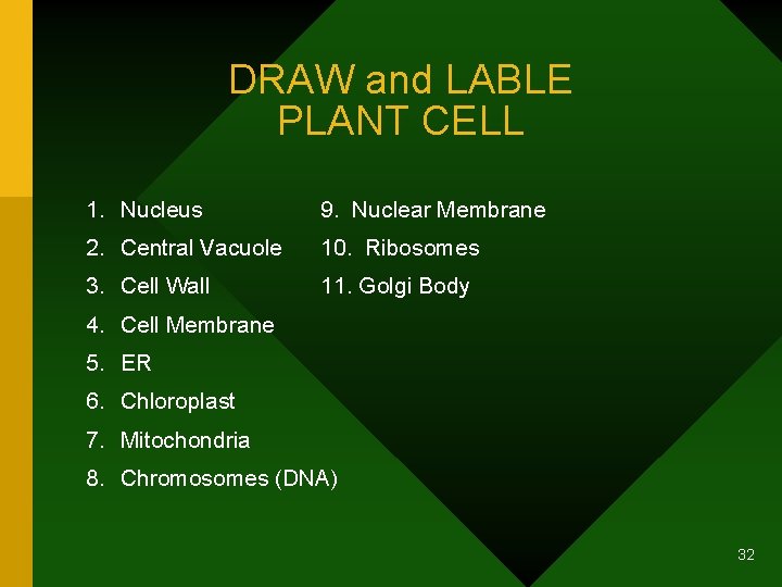 DRAW and LABLE PLANT CELL 1. Nucleus 9. Nuclear Membrane 2. Central Vacuole 10.