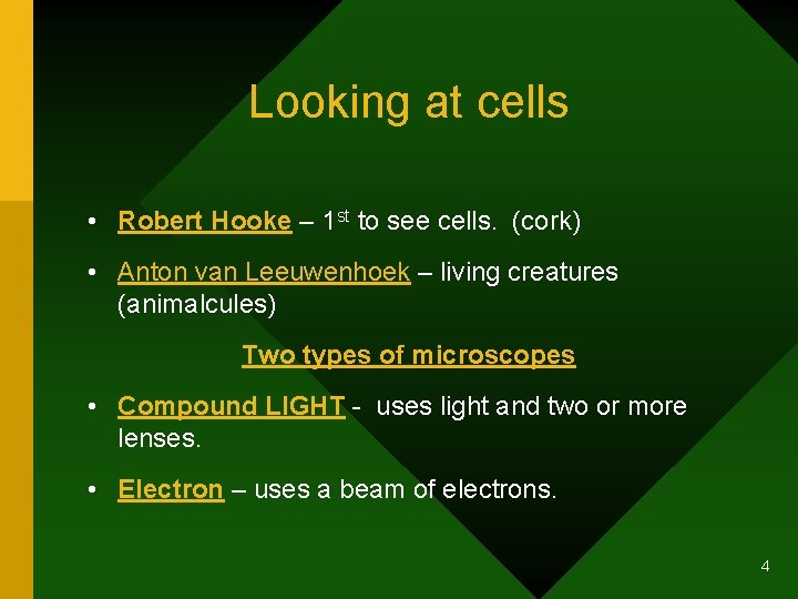 Looking at cells • Robert Hooke – 1 st to see cells. (cork) •