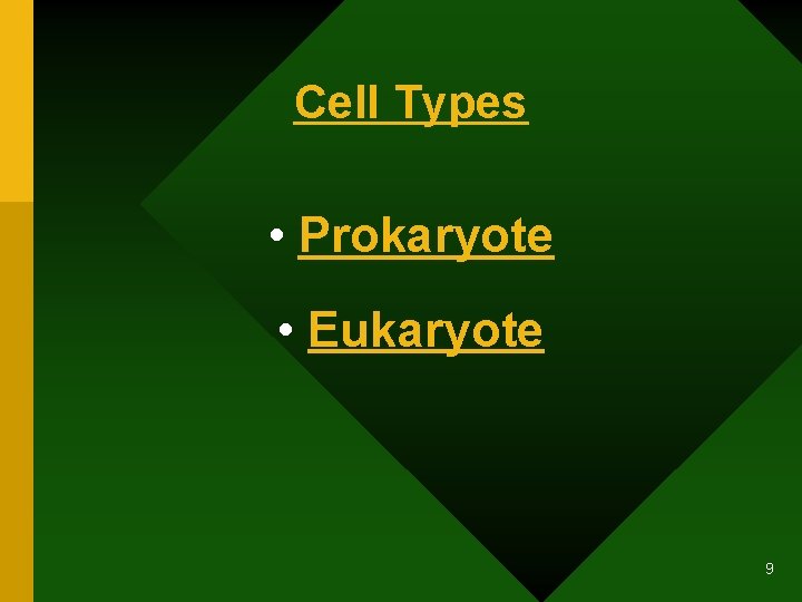 Cell Types • Prokaryote • Eukaryote 9 