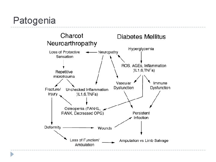 Patogenia 