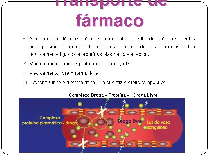 Transporte de fármaco ü A maioria dos fármacos é transportada até seu sítio de