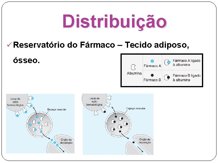 Distribuição ü Reservatório do Fármaco – Tecido adiposo, ósseo. 