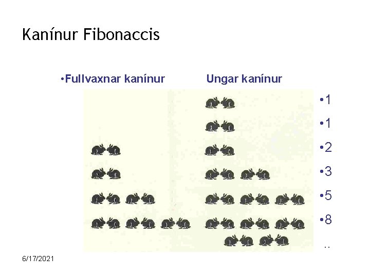 Kanínur Fibonaccis • Fullvaxnar kanínur Ungar kanínur • 1 • 2 • 3 •