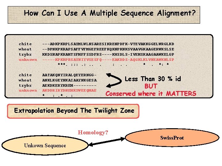 How Can I Use A Multiple Sequence Alignment? chite wheat trybr unknown ---ADKPKRPLSAYMLWLNSARESIKRENPDFK-VTEVAKKGGELWRGLKD --DPNKPKRAPSAFFVFMGEFREEFKQKNPKNKSVAAVGKAAGERWKSLSE